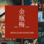 ソープ建造物オタクの私がＴＧの内装を紹介する件