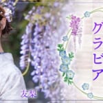 『友梨（ゆり）』特集：スペシャルグラビア